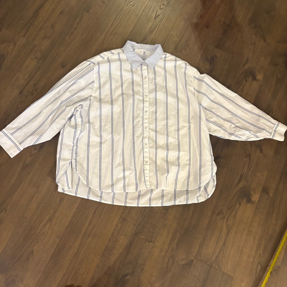 Aerie Plus Size Good Day Blue and White Oversized Button Down Size XXL